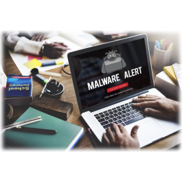 Malware and Virus Removal Services in Oman